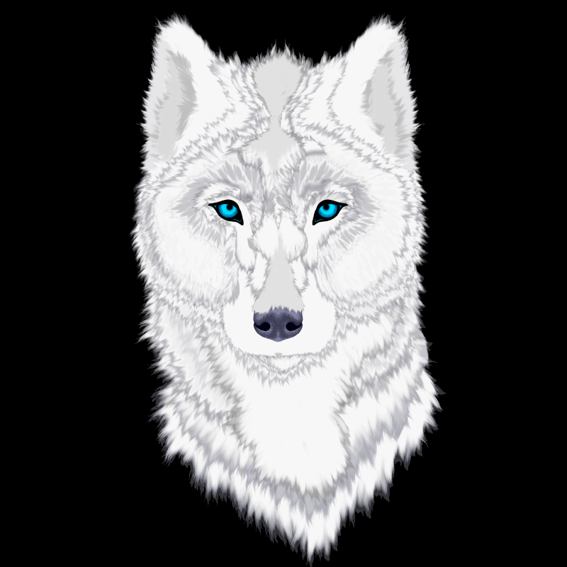 MissShadow