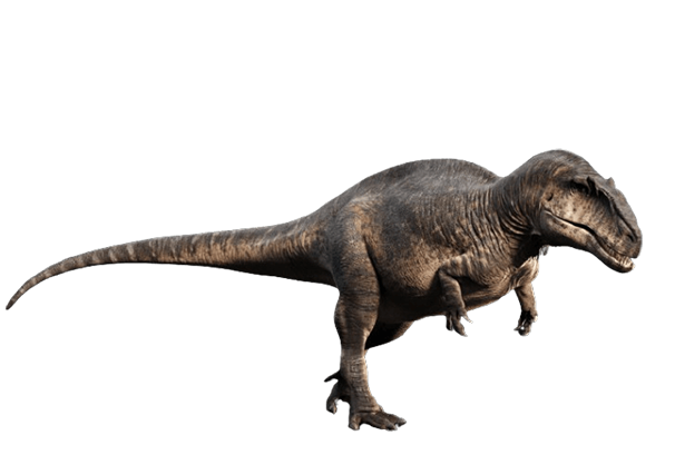 beastsofbermuda1